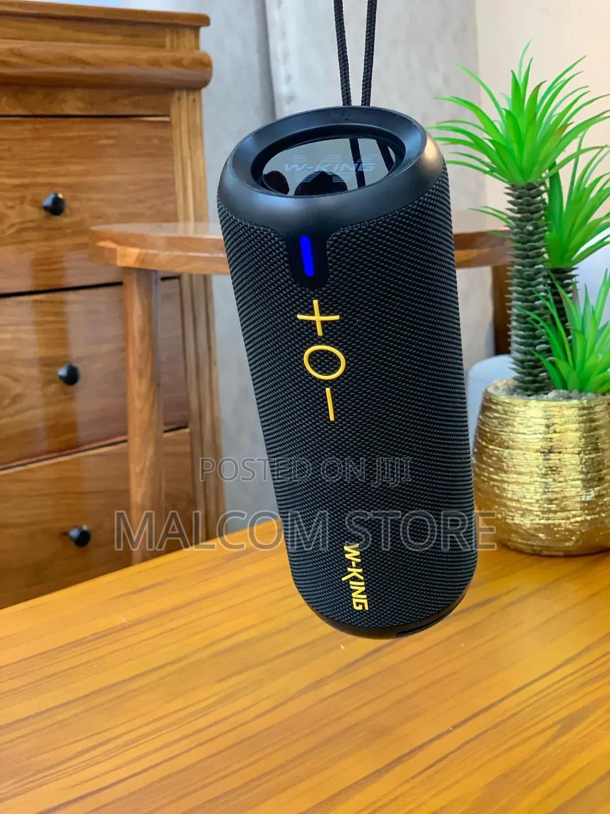 W-King D320 Speaker