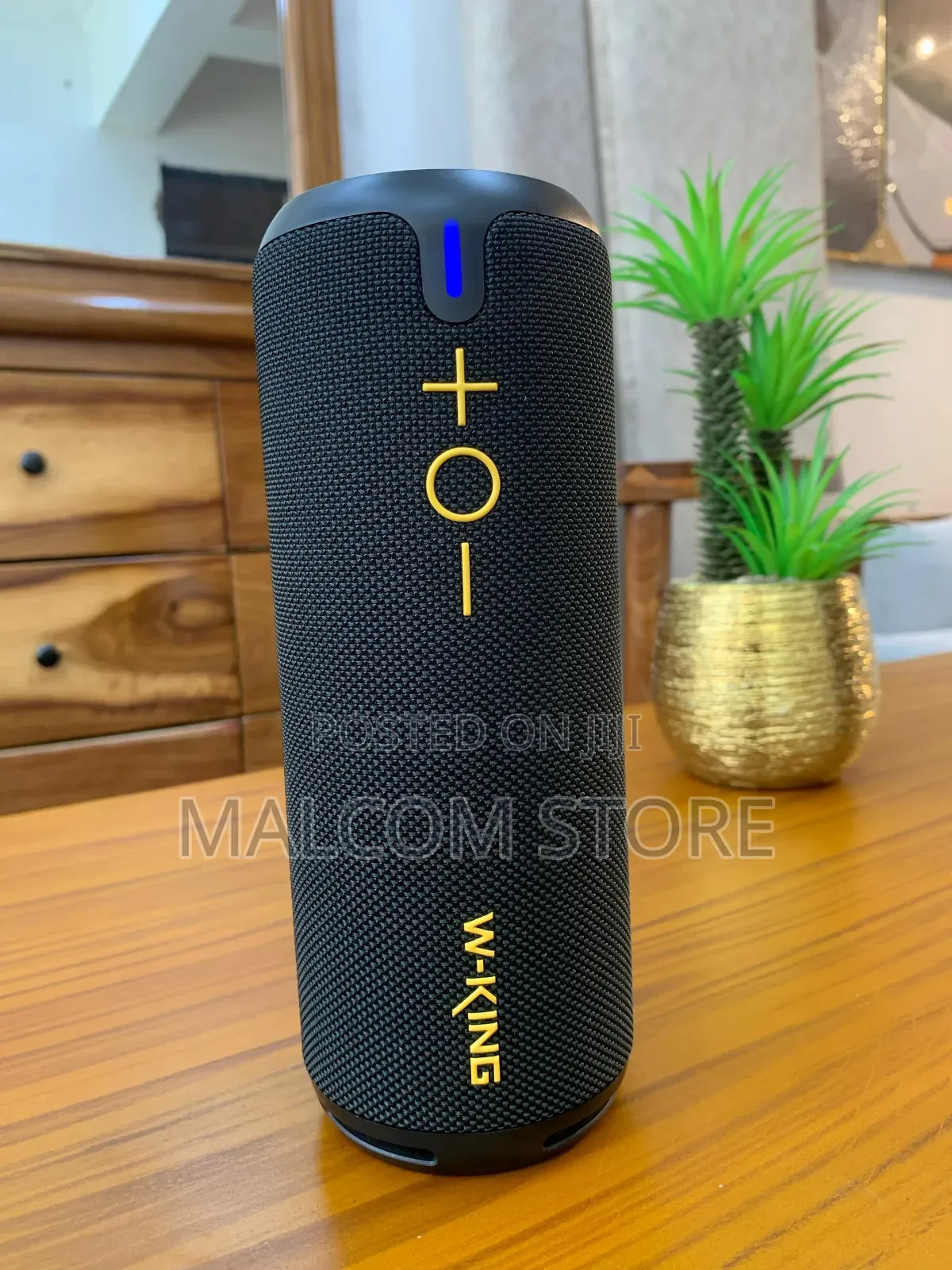 W-King D320 Speaker