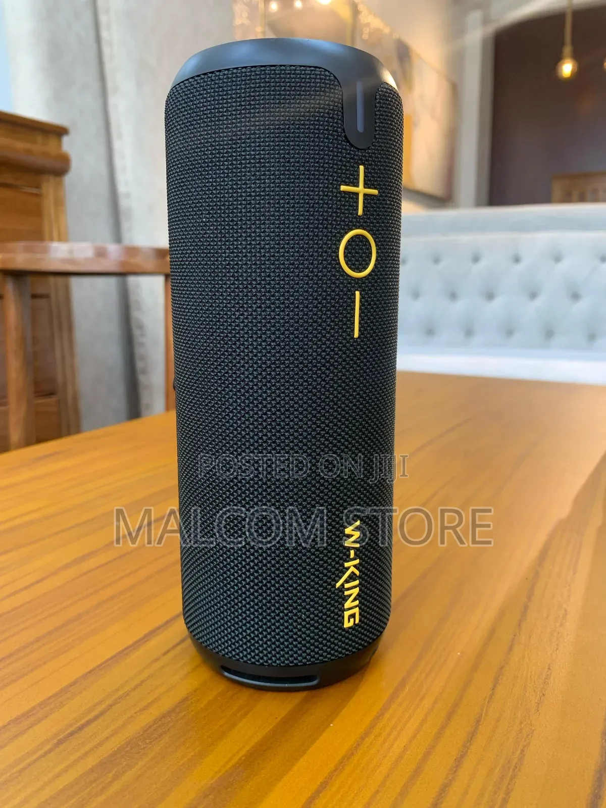 W-King D320 Speaker