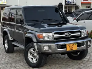 Toyota Land Cruiser 4.5 V8 TD STD 2010 Gray