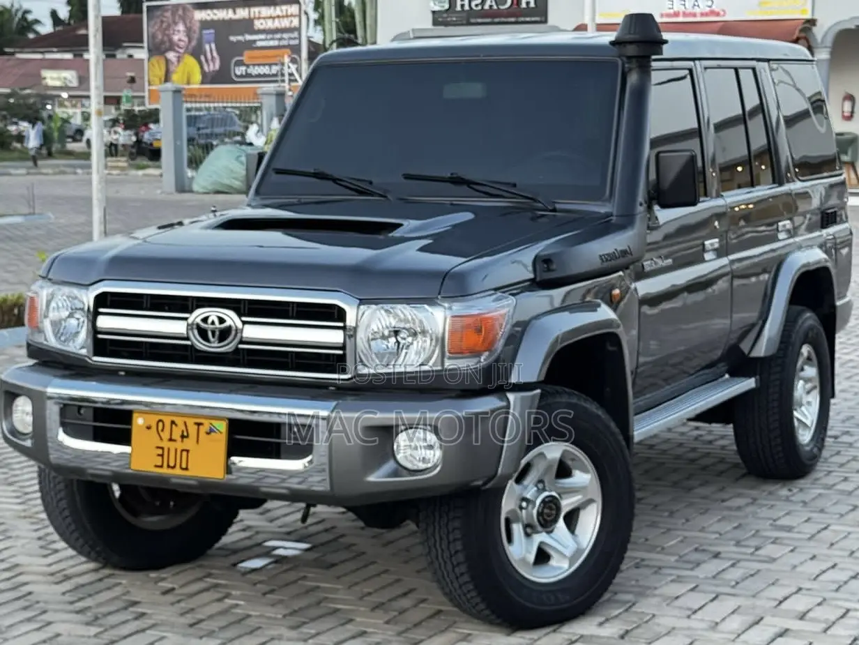 Toyota Land Cruiser 4.5 V8 TD STD 2010 Gray