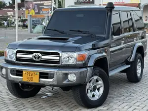 Toyota Land Cruiser 4.5 V8 TD STD 2010 Gray