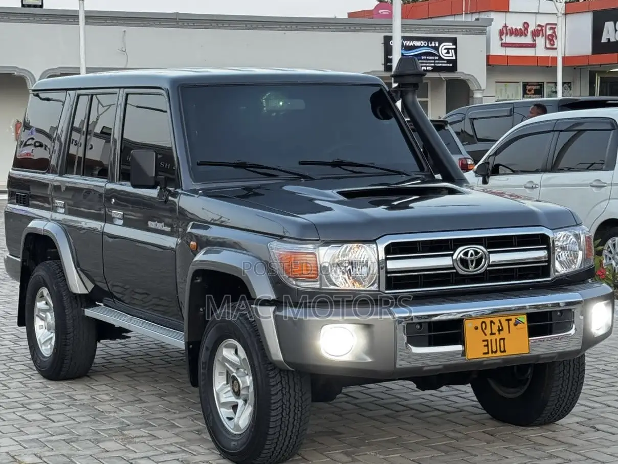 Toyota Land Cruiser 4.5 V8 TD STD 2010 Gray