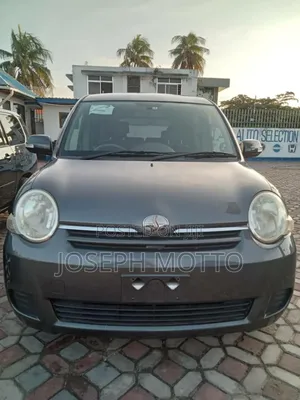 Toyota Sienta 1.5 AWD 2008 Gray