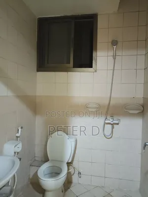3bdrm Apartment in Kariakoo for rent