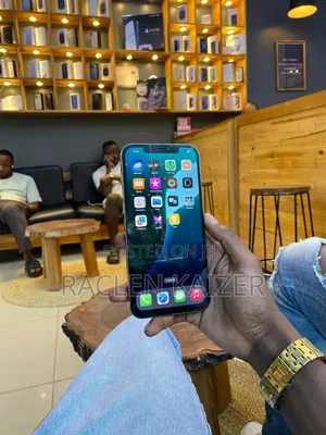 Apple iPhone 12 Pro Max 256 GB