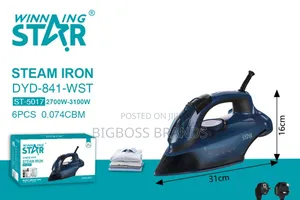 Winning Star Steam Iron Dyd 841