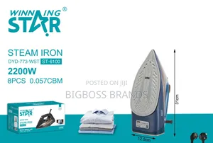 Winning Star Steam Iron St 6100