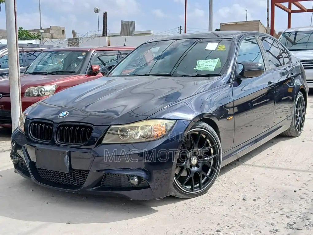 BMW 3 Series 320i RWD 2010 Blue