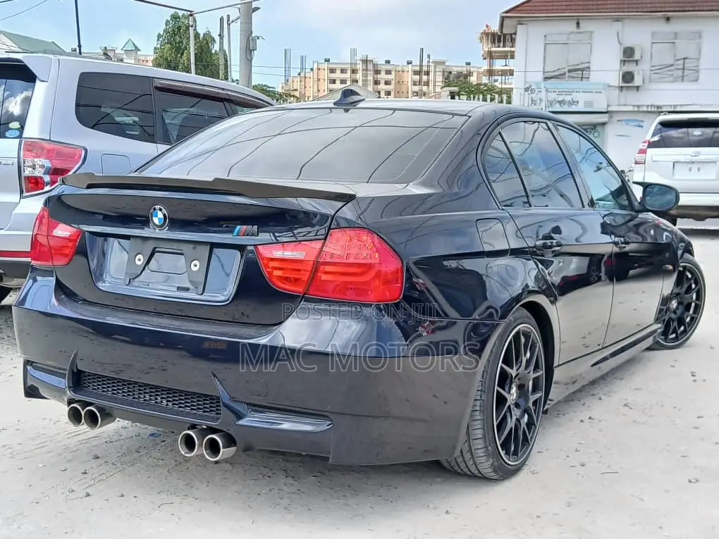 BMW 3 Series 320i RWD 2010 Blue