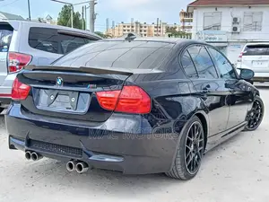 BMW 3 Series 320i RWD 2010 Blue