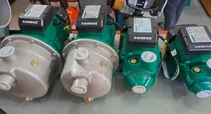Shimge Surface Pump