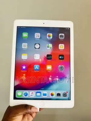 Apple iPad Air 16 GB Gray