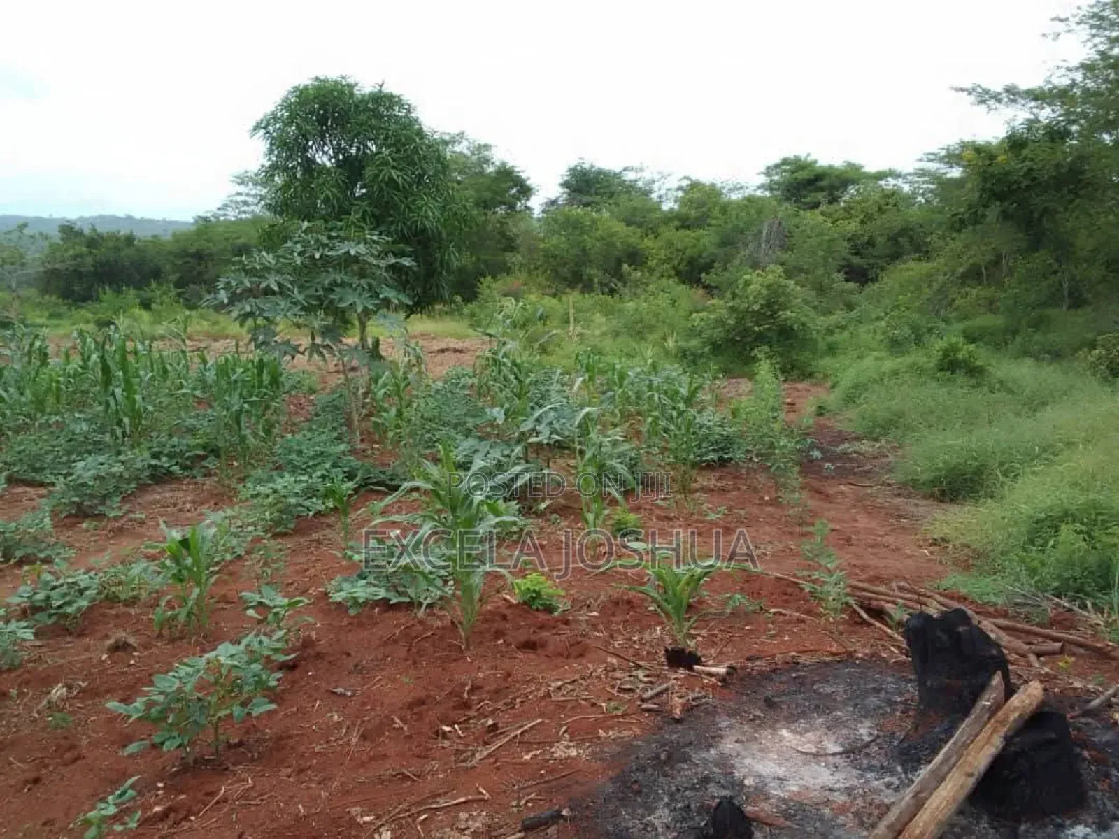 Shamba Ekari 20 Linauzwa Mbwewe Bagamoyo