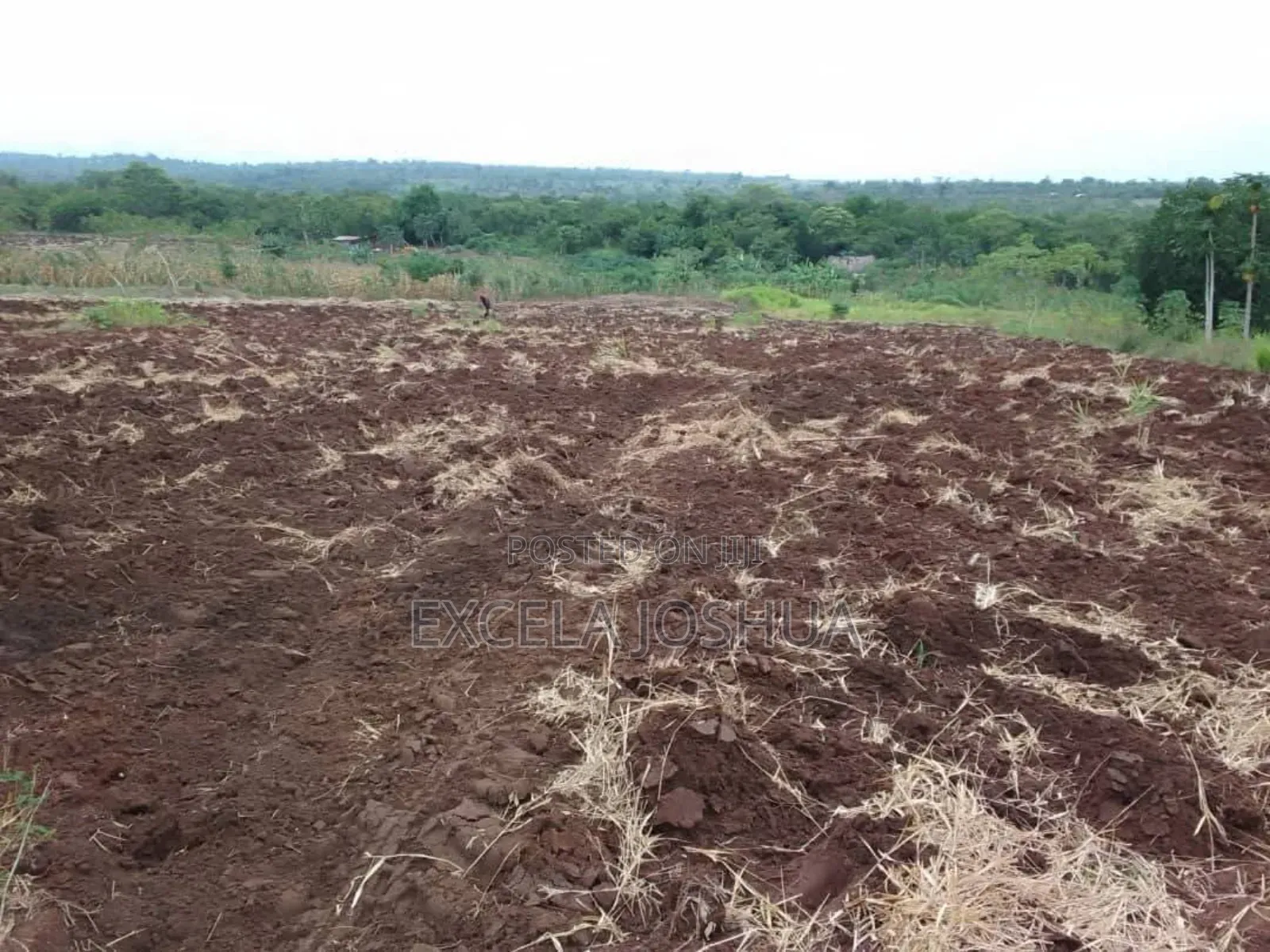 Shamba Ekari 20 Linauzwa Mbwewe Bagamoyo