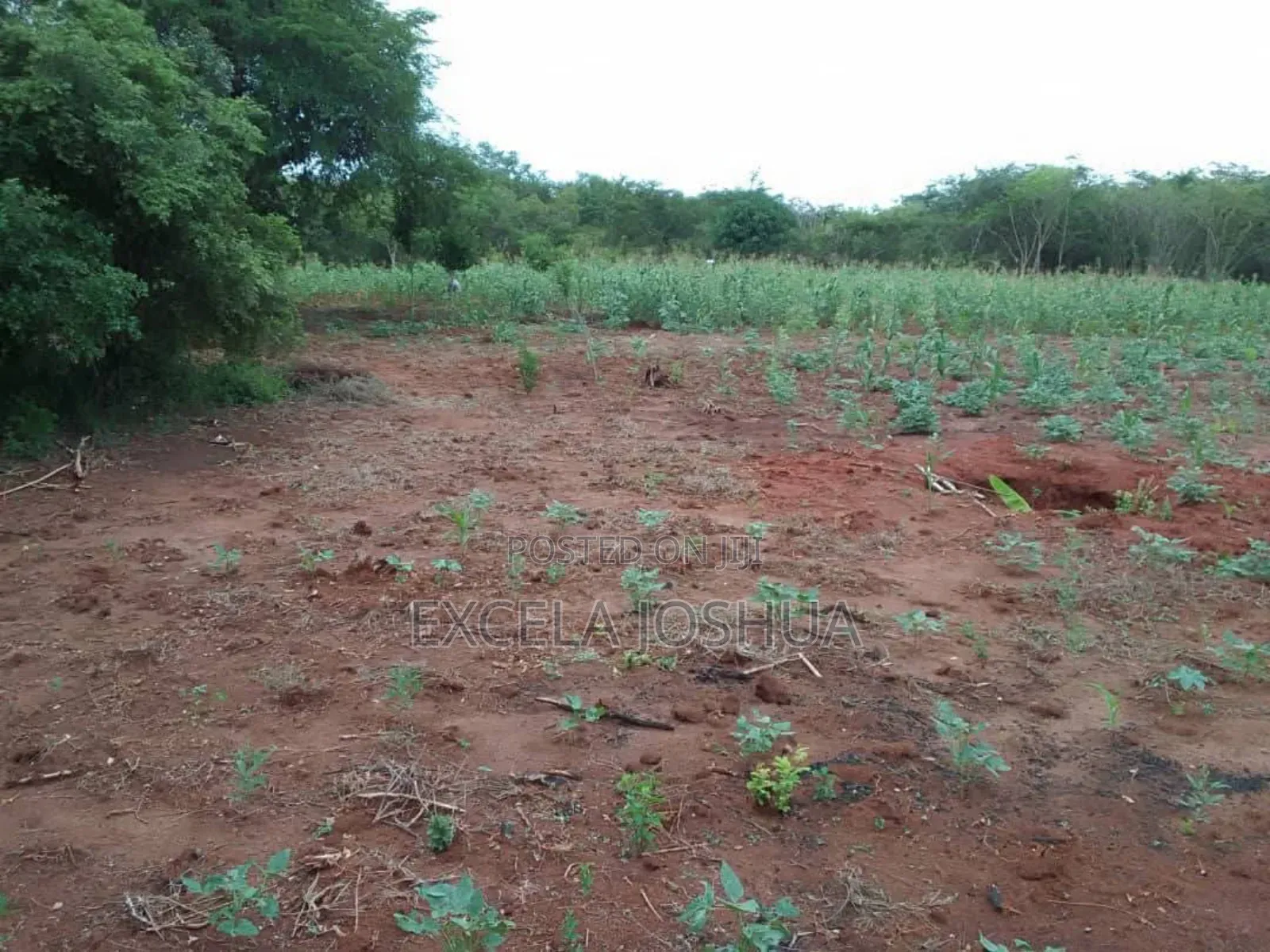Shamba Ekari 20 Linauzwa Mbwewe Bagamoyo