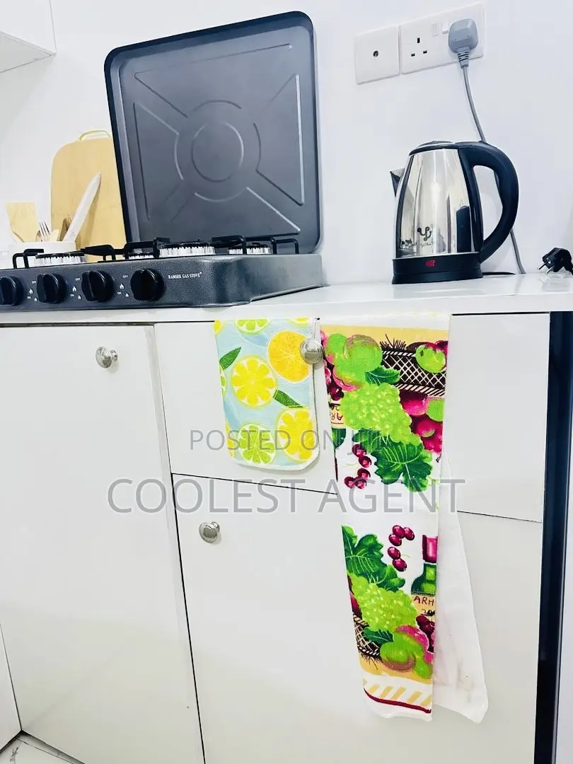 Furnished 1bdrm Apartment in Mikocheni, Kinondoni for rent