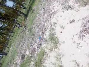 Beach Plot for Sale Kilwa Masoko