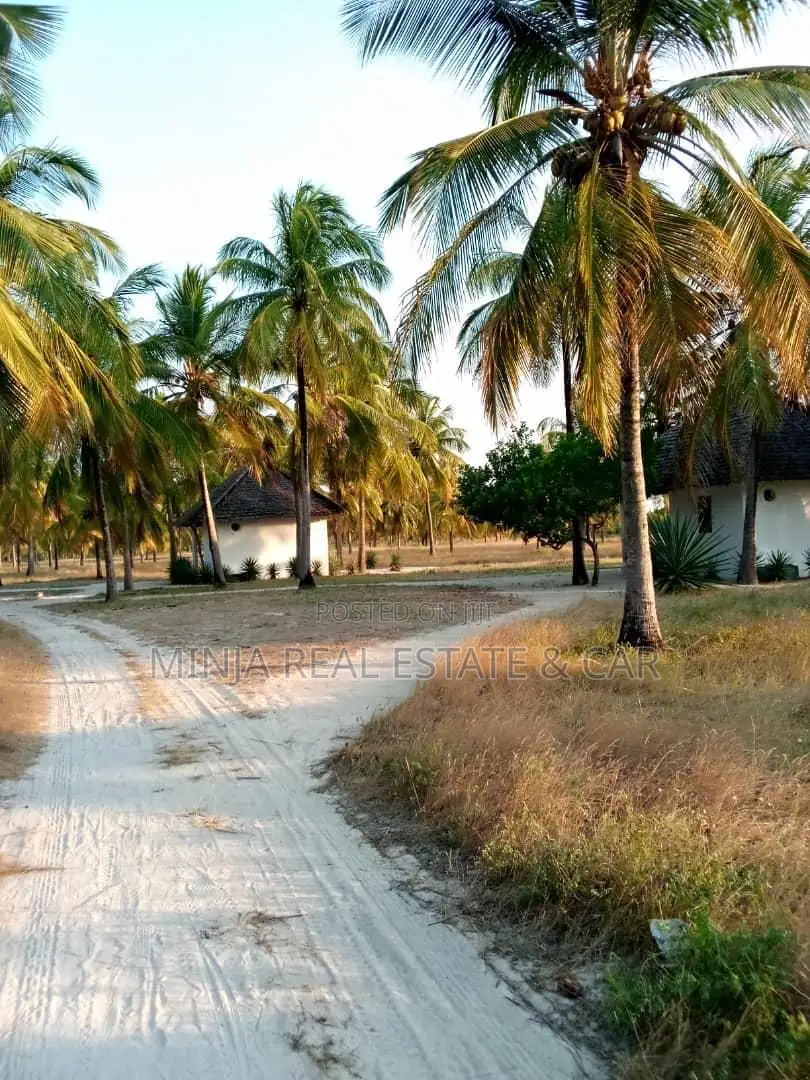 Beach Plot for Sale Kilwa Masoko