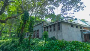 12bdrm Apartment in Arusha, Kinondoni for sale