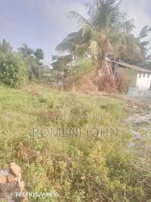Kiwanja Sqmita 300 Kinauzwa Milioni 6.5 Majohe Rada.