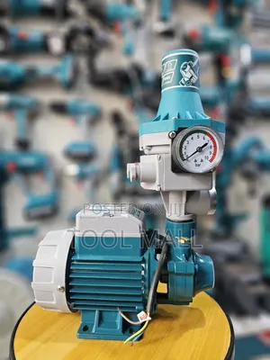 Pump With Pump Control