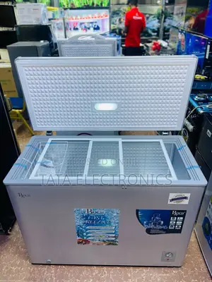 Roch Chest Freezer 310 Liter