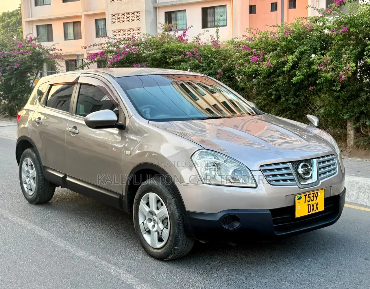 Nissan Dualis 2007 Gray