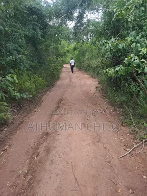 Shamba Mbwewe