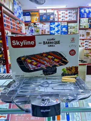 Skyline Electric Barbecue Grill