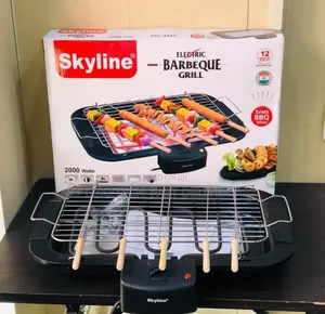 Skyline Electric Barbecue Grill for Indoor Grilling
