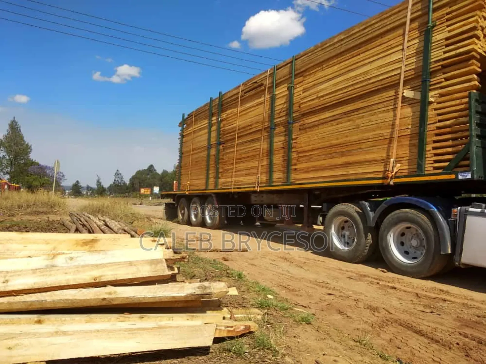 Mbao Ya Paina(Pine Wood)