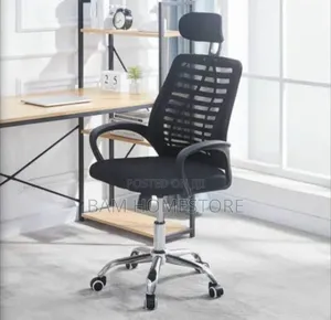 Classic Ergonomic Chairs
