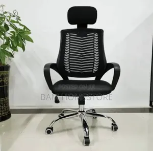 Classic Ergonomic Chairs