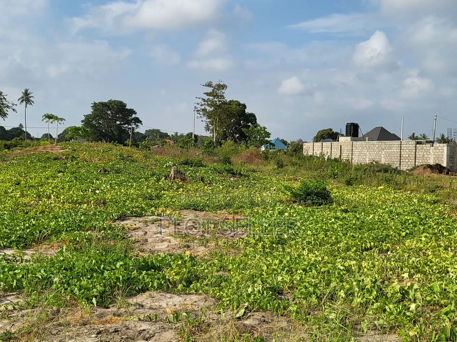 A 1300 SQM for Sale in Kisota