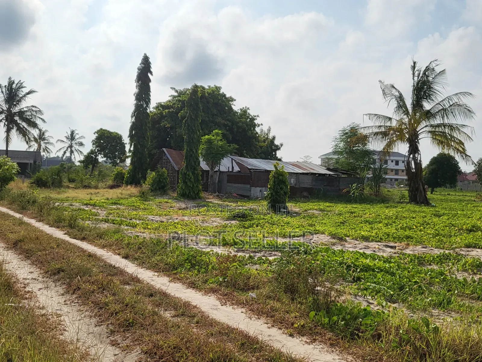 A 1300 SQM for Sale in Kisota
