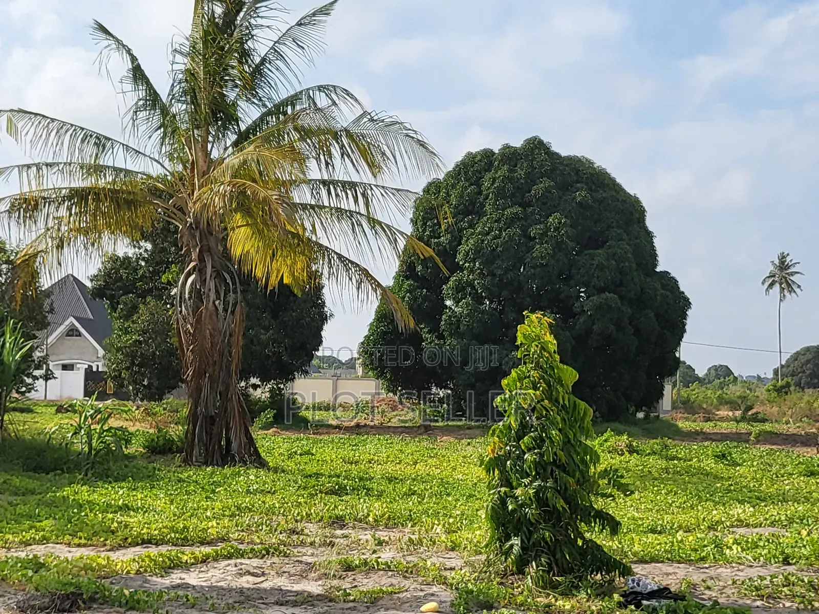 A 1300 SQM for Sale in Kisota