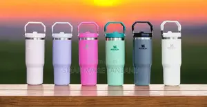 Vacuum Insulated Water Bottle For Home, Office Or Car