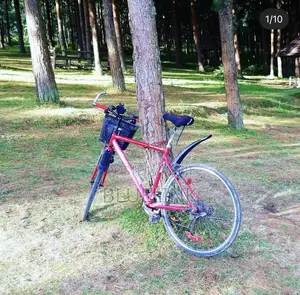 Sports Road Bike