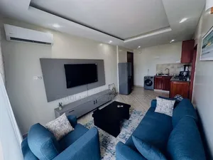 Furnished 1bdrm Apartment in Kijitonyama for rent