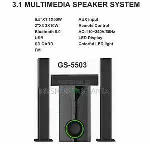 3.1 Globalstar Multmiedia Speaker Sytem