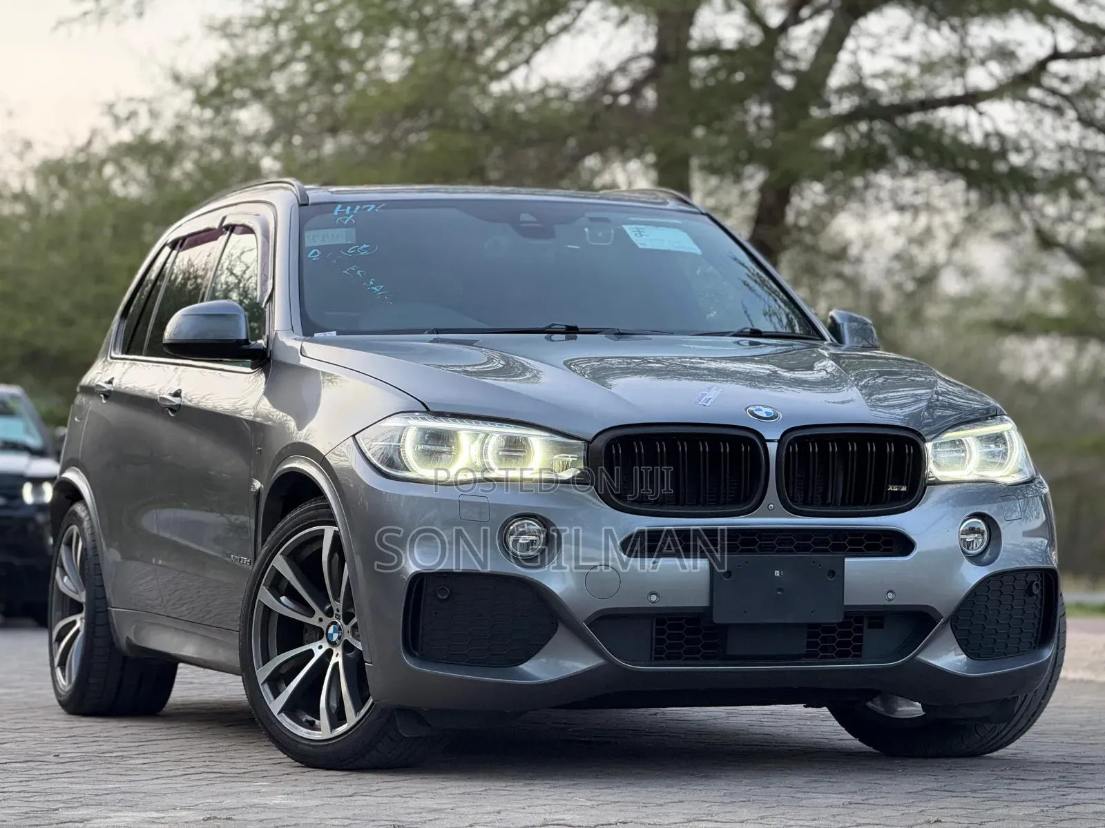 BMW X5 2015 Gray