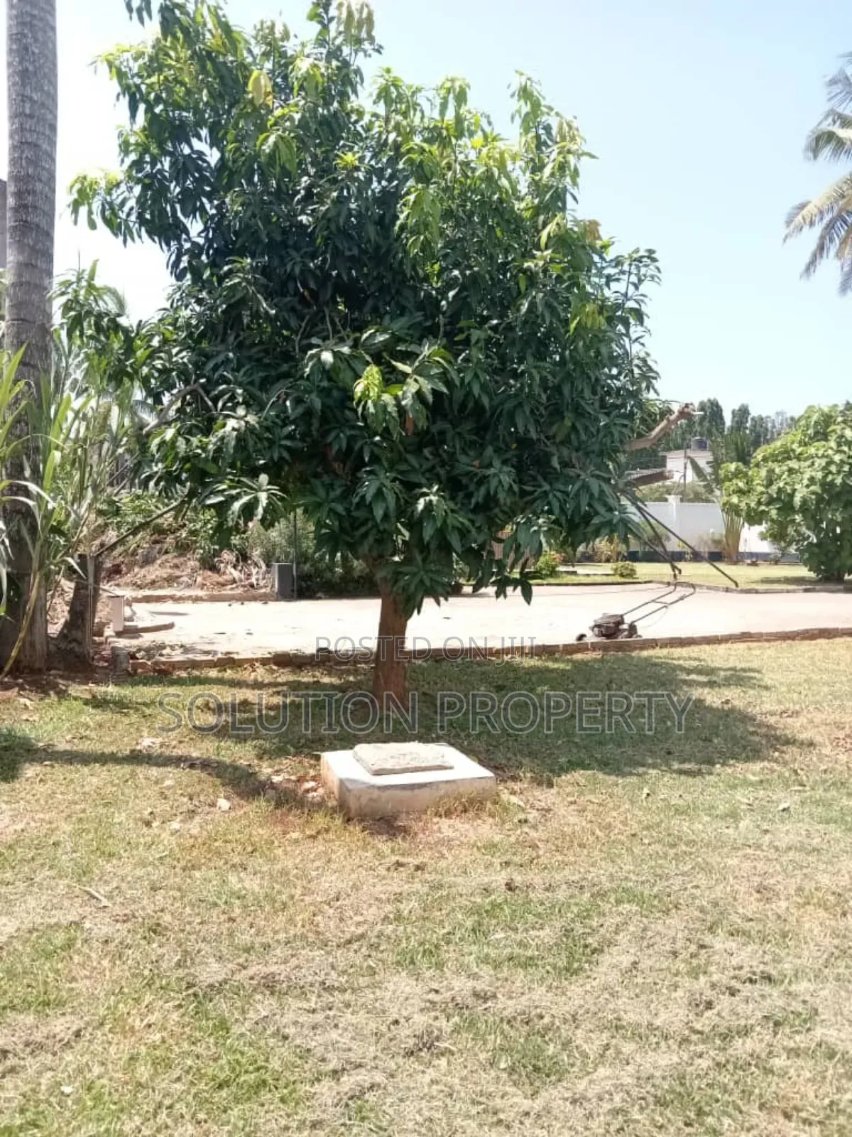 4bdrm House in Mikocheni for rent