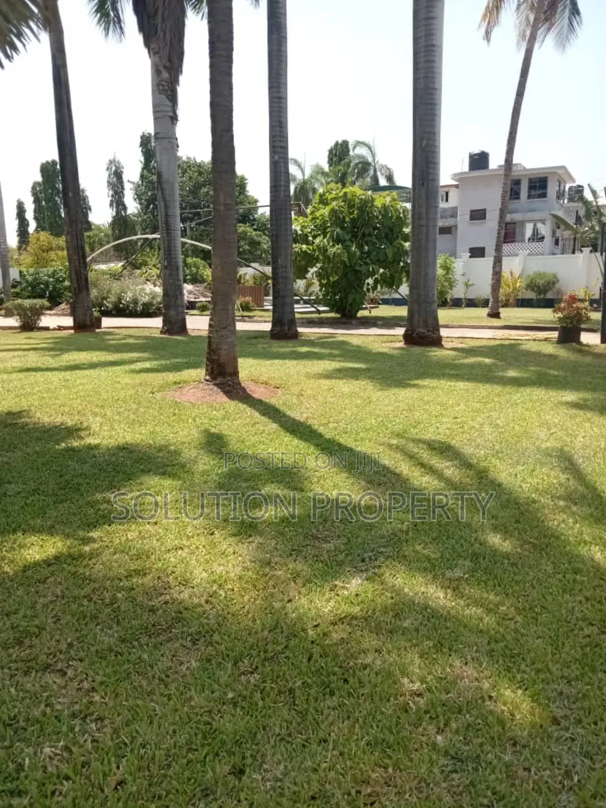 4bdrm House in Mikocheni for rent
