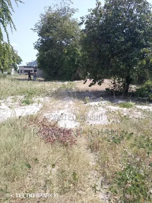 Kiwanja Sqmita 500 Linauzwa Milioni 14.5 Ukonga Majohe Rada.
