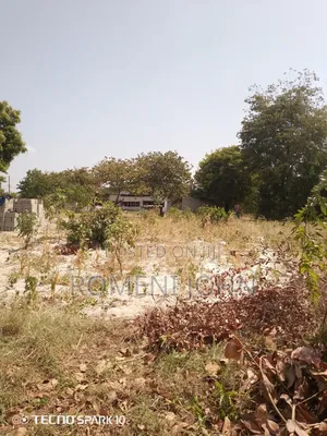 Kiwanja Sqmita 500 Linauzwa Milioni 14.5 Ukonga Majohe Rada.