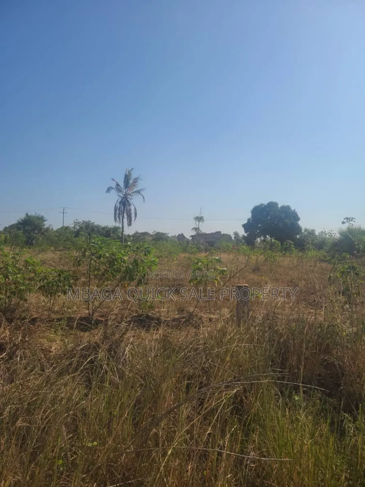 Plot for Sale at Kigamboni Muongozo