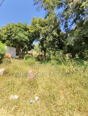 Plot for Sale