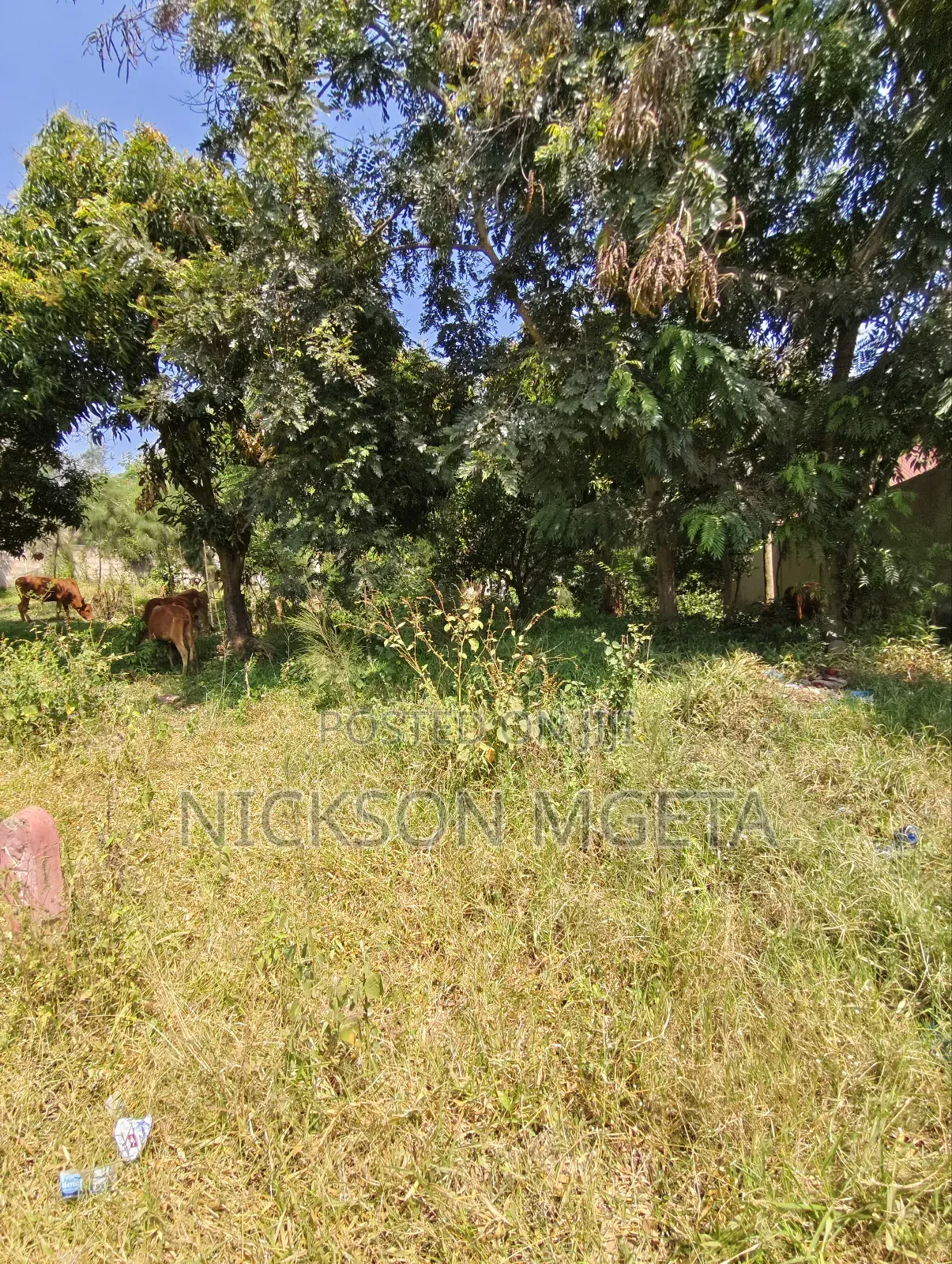 Plot for Sale