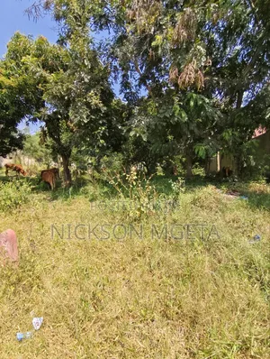 Plot for Sale